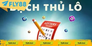 bach thu lo la gi doi net co ban